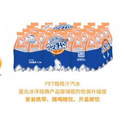 北冰洋 PET桔汁汽水冰镇享乐酷爽一夏整箱300ml*24