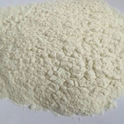 风味蛋白酶 食品中性蛋白酶 酶活力5万 增鲜香去苦味酶制剂 1kg起订 支持拿样图1