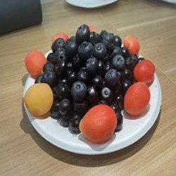 食可信蓝莓500g/盒装图3