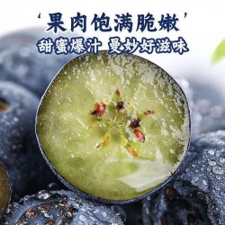 食可信蓝莓500g/盒装图7