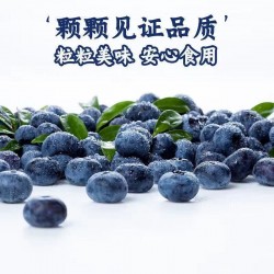 食可信蓝莓500g/盒装图4