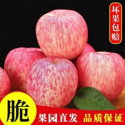 洛川富士苹果糖芯透心甜整箱装 约10斤箱图1