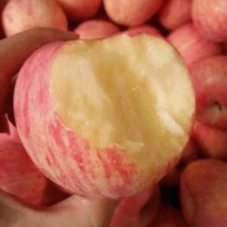 陕西洛川红富士苹果 大果18粒装 单果直径约85mm 整箱10斤 40元图5