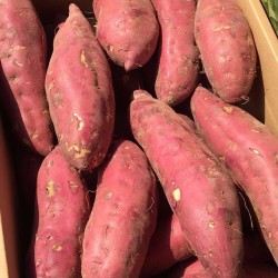 【10斤批发】小香薯正宗板票手指红薯新鲜现挖蜜薯地瓜番薯 坏了包赔图5