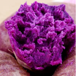 新鲜紫薯沙地红薯番薯蜜薯紫罗板栗地瓜大果10斤/箱图3