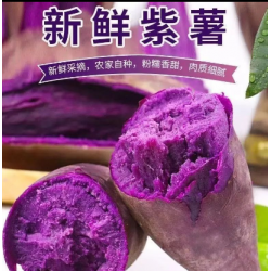 新鲜紫薯沙地红薯番薯蜜薯紫罗板栗地瓜大果10斤/箱图4