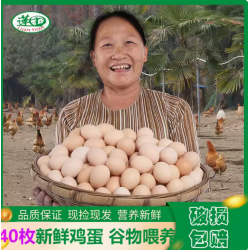 莲田食品鸡蛋新鲜40枚整箱谷物喂养湖北现捡精选农家鲜鸡蛋整箱散养图2