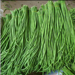 河南土特产天中农家豇豆2.5kg/袋图1