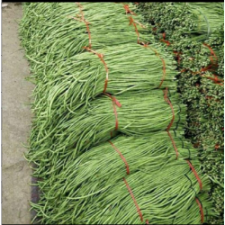 河南土特产天中农家豇豆2.5kg/袋图6