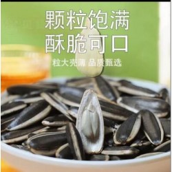 批发五件起发 咿呀瓜子五香焦糖奶香藤椒原味葵花籽独立小包装坚果炒货零食图7