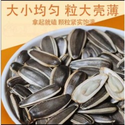 批发五件起发 咿呀瓜子五香焦糖奶香藤椒原味葵花籽独立小包装坚果炒货零食图9