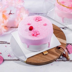 海融蒂娜蛋糕樱花巧克力酱 3kg*1盒图4