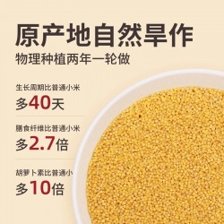 批发北方水城沁州黄小米礼盒(100g*30包) 4盒一件 5件起批图3