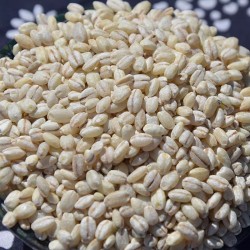 吾爱吾谷西藏正品白青稞米1kg/盒 青稞酒奶茶辅食粥米原料青稞香米图3