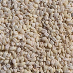 吾爱吾谷西藏正品白青稞米1kg/盒 青稞酒奶茶辅食粥米原料青稞香米图4