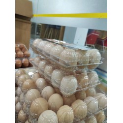食可信谷饲柴鸡蛋10枚600g/盒图5
