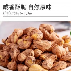 享食者罐装带衣大腰果仁新货紫皮紫衣盐焗干果散装称斤原味孕妇坚果零食图3