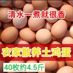 批发整框红皮鲜鸡蛋 净重40斤筐148元/筐 净重44斤筐仅164元 养殖场直供 免费送货图3