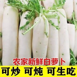 白萝卜2斤图2