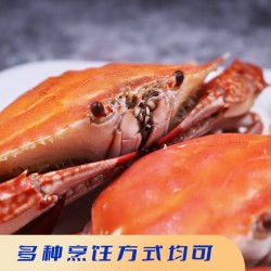 拾鲜生 梭子蟹液氮冻 3斤装 源头直采 冷链直达 4-6两图3