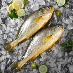 拾鲜生深海野化黄鱼5条 海鲜 礼品 冷链 包邮到家 400g/条图2