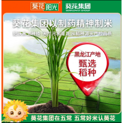 葵花阳东北黑土稻香米光5kg/ 袋图2