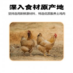 批发鸡精调味料道赢调味品增味提鲜家用商用厂家直发图4