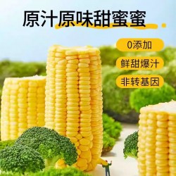 佳龙玉米饱饱水果甜玉米粒低脂开袋即食新鲜嫩东北代餐低脂零食图3