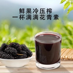 桑裕NFC桑椹汁鲜果榨汁纯100%桑果汁儿童孕妇营养健康果汁果蔬汁图3