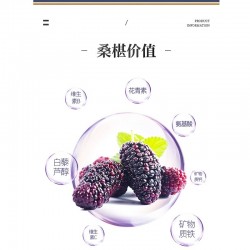桑椹酒纯桑椹发酵五钻干红水果酒桑果酒750ml*1瓶图3