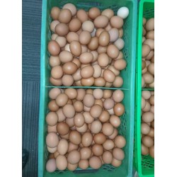 批发整框红皮鲜鸡蛋 净重40斤筐142元/筐 净重44斤筐仅148元 养殖场直供 免费送货图3