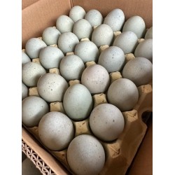 无铅优质食可信松花蛋 26斤/箱  批发零售任选图3
