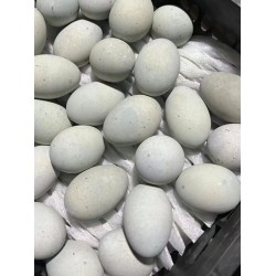 无铅优质食可信咸鸭蛋   26斤/箱  批发零售任选图2