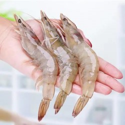海臻蓝 厄瓜多尔白虾300g*4包图2