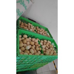批发托装粉皮鸡蛋12托 净重44斤/箱 152元 养鸡场直供 北京地区免费配送图4