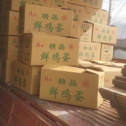 批发整筐混码粉皮鸡蛋净重40斤140元 混码净重44斤152元 养鸡场直供 北京地区免费配送图2