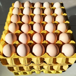 批发托装粉皮鸡蛋12托 净重44斤/箱 152元 养鸡场直供 北京地区免费配送图2
