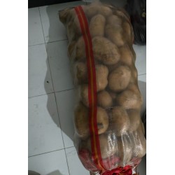 批发优质黄心沙漠土豆 （单个重5两以上） 20斤 30斤 50-60斤/包等不同包装均有 质优价廉图7