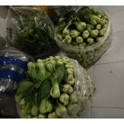 批发优质新鲜小油菜 北京本地生产（中颗大小，当天采摘，无虫眼） 10斤 20斤 30斤/包等不同包装均有 质优价廉图3