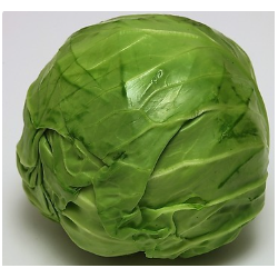 批发优质松散型圆白菜 30斤以上低至1.2元/斤 北京同城免费配送图2