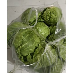 批发优质松散型圆白菜 30斤以上低至1.2元/斤 北京同城免费配送图3