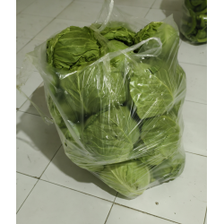 批发优质松散型圆白菜 30斤以上低至1.2元/斤 北京同城免费配送图4