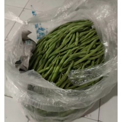 批发优质豆王豆角（中粗）10斤/包 20斤/包 30斤/包装  质优价廉图4