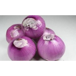 批发优质紫皮精品洋葱大号  无残破 20斤/包 30斤/包 40斤/包均有 北京同城配送图2