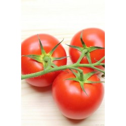 批发优质新鲜西红柿 （中等大小）（最低合3.7元/斤）20斤 40斤/筐均有图3