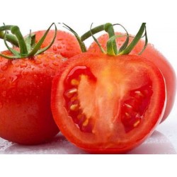 批发优质新鲜西红柿 （中等大小）（最低合3.7元/斤）20斤 40斤/筐均有图2