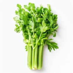 批发优质新鲜芹菜 10斤/包 20斤/包 30斤/包均有图2