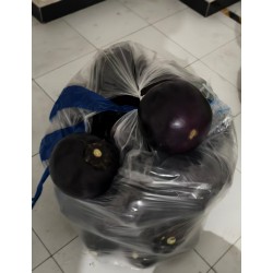 批发优质大个圆茄子 中等以上大小 大于20斤4.3/斤 大于30斤4.2/斤  北京同城免费配送图2