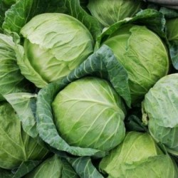 零售优质松散型新鲜圆白菜 北京同城订单合计金额满30元以上免费配送图2