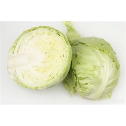 零售优质圆白菜 北京同城免费配送图2